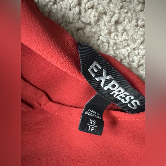 Express Sheer Tie-Neck Blouse Rust Orange | Long Sleeve | Size XS - Picture 5 of 7